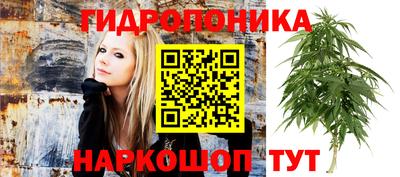 мдма Северобайкальск