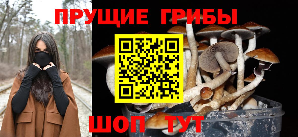 Галлюциногенные грибы Magic Shrooms Мегион