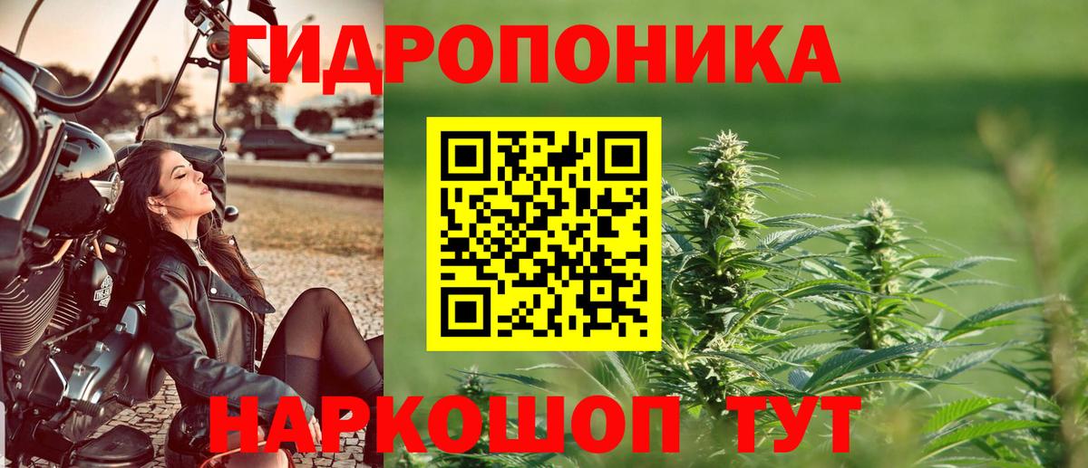 Бошки марихуана конопля  Вход с VPN  Мегион  Конопля White Widow  Каннабис Amnesia  Бошки марихуана Ganja 